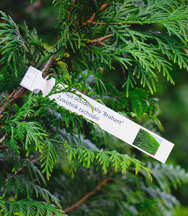 Etykiety etykat label wlepki naklejki 4